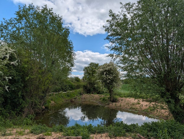 Attingham Ponds
